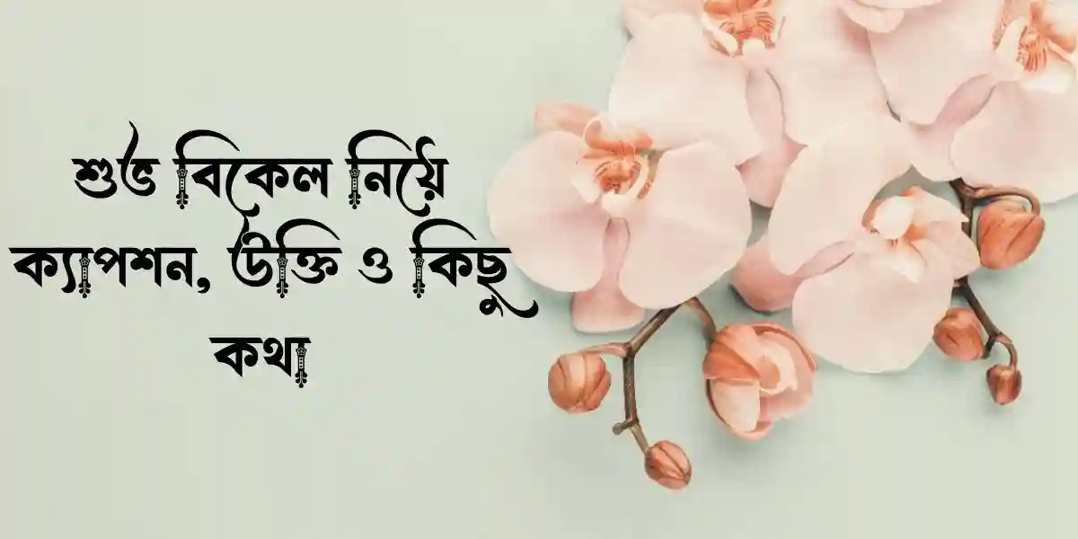 শুভ বিকেল নিয়ে ক্যাপশন, উক্তি ও কিছু কথা