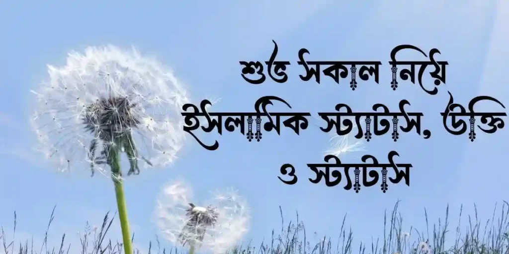 শুভ সকাল নিয়ে ইসলামিক স্ট্যাটাস, উক্তি ও স্ট্যাটাস